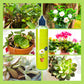 🌱 ACQUISTA 1, OTTIENI 1 GRATIS! 🏡 Nutriente Liquido per Piante – Per Interni ed Esterni, Facile da Usare & Risultati Visibili ✨