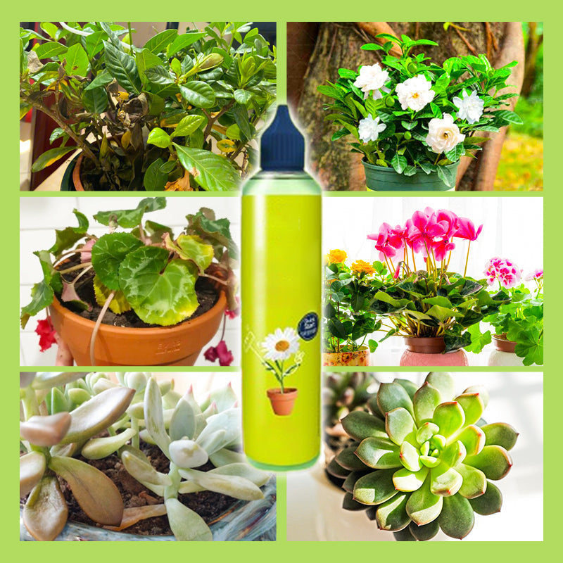 🌱 ACQUISTA 1, OTTIENI 1 GRATIS! 🏡 Nutriente Liquido per Piante – Per Interni ed Esterni, Facile da Usare & Risultati Visibili ✨