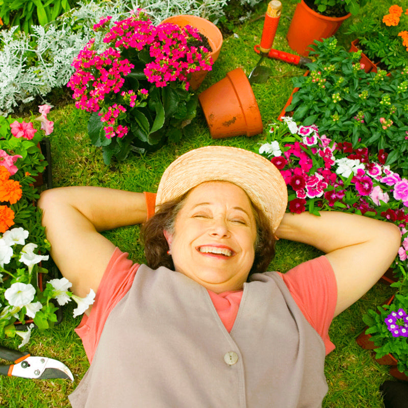 🌱 ACQUISTA 1, OTTIENI 1 GRATIS! 🏡 Nutriente Liquido per Piante – Per Interni ed Esterni, Facile da Usare & Risultati Visibili ✨