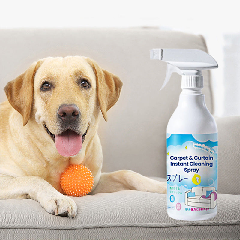 Spray Smacchiatore Istantaneo per Tappeti e Tende
