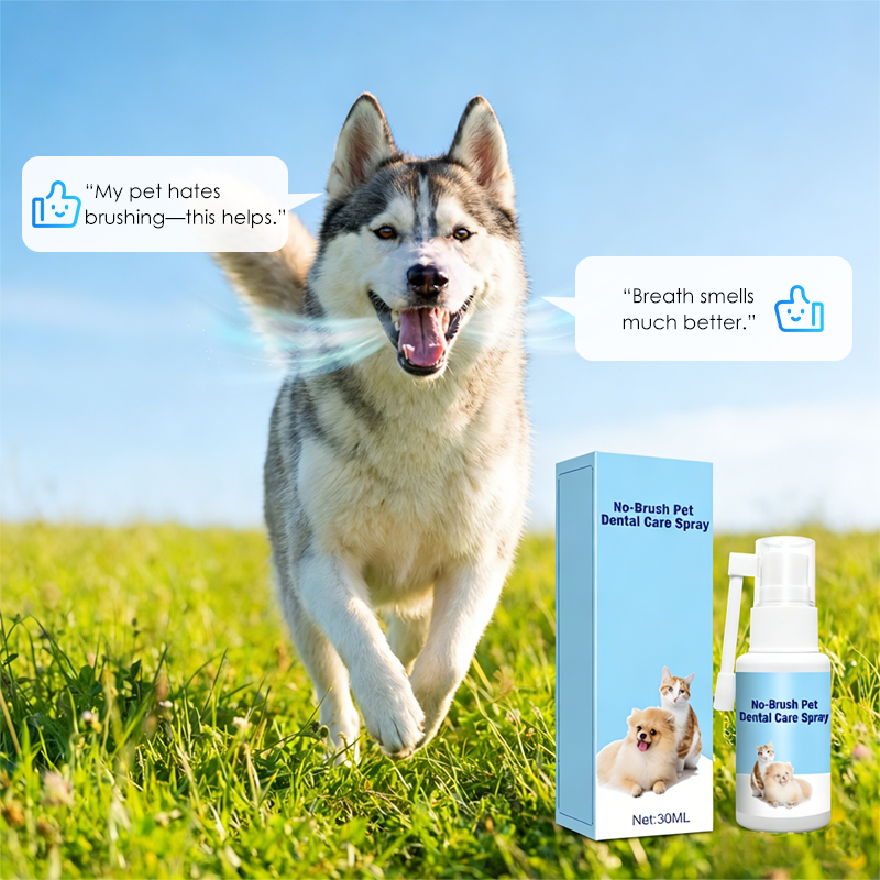 Spray orale per animali senza spazzolino