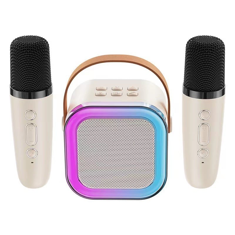 ✨️✨️Mini macchina per karaoke con microfoni wireless🎤🎶