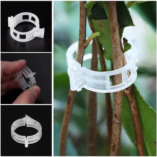 Clip Sicure in Plastica per Piante