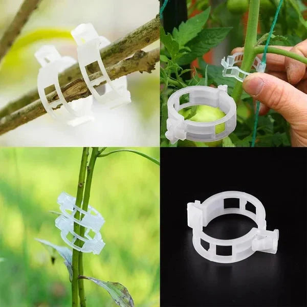 Clip Sicure in Plastica per Piante