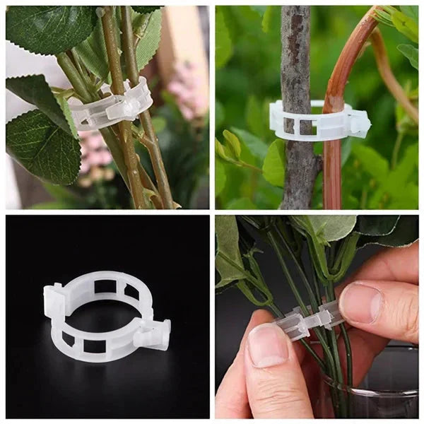 Clip Sicure in Plastica per Piante