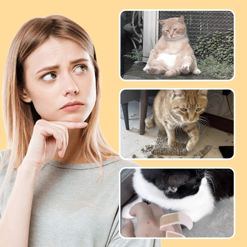 Topo Giocattolo per Gatti e Cani