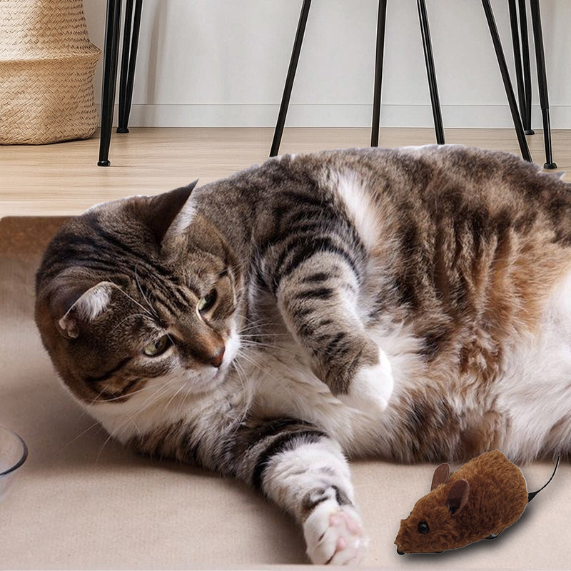 Topo Giocattolo per Gatti e Cani