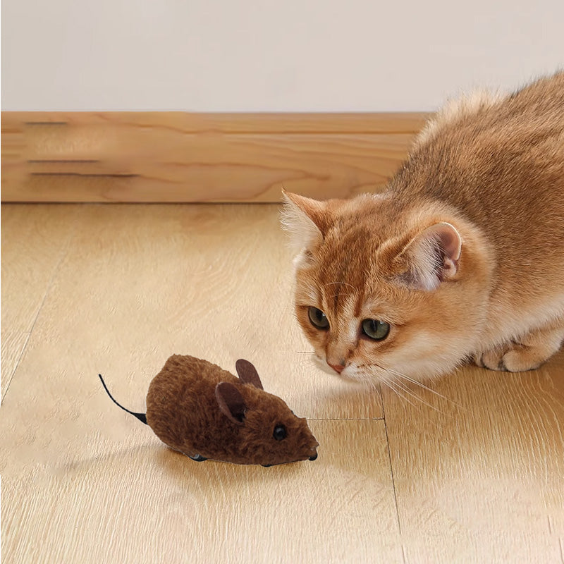 Topo Giocattolo per Gatti e Cani