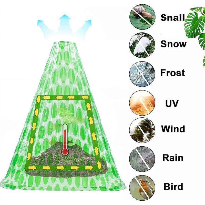 20/30 pz. Campana trasparente da giardino per piante