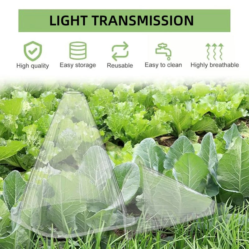 20/30 pz. Campana trasparente da giardino per piante