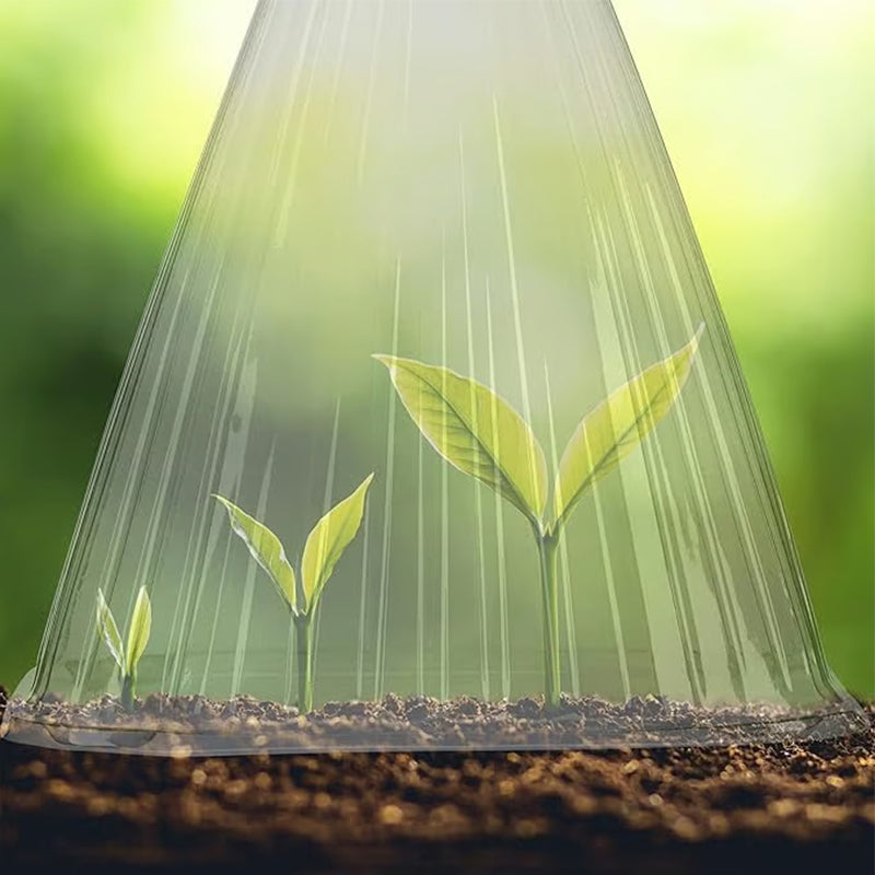 20/30 pz. Campana trasparente da giardino per piante