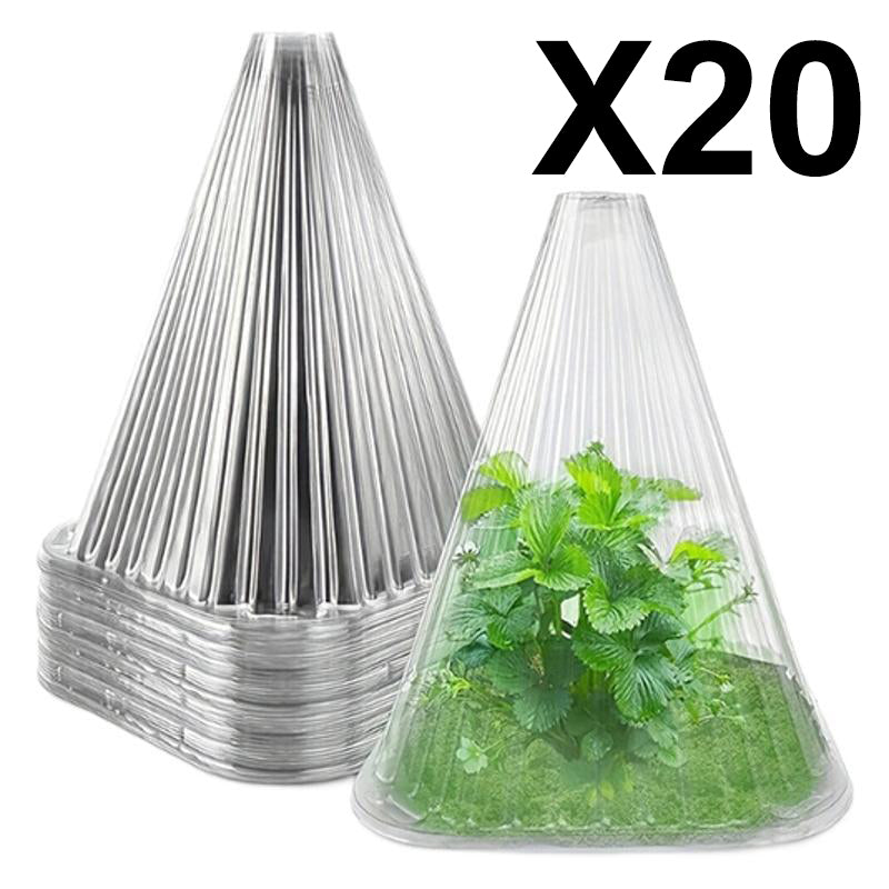 20/30 pz. Campana trasparente da giardino per piante