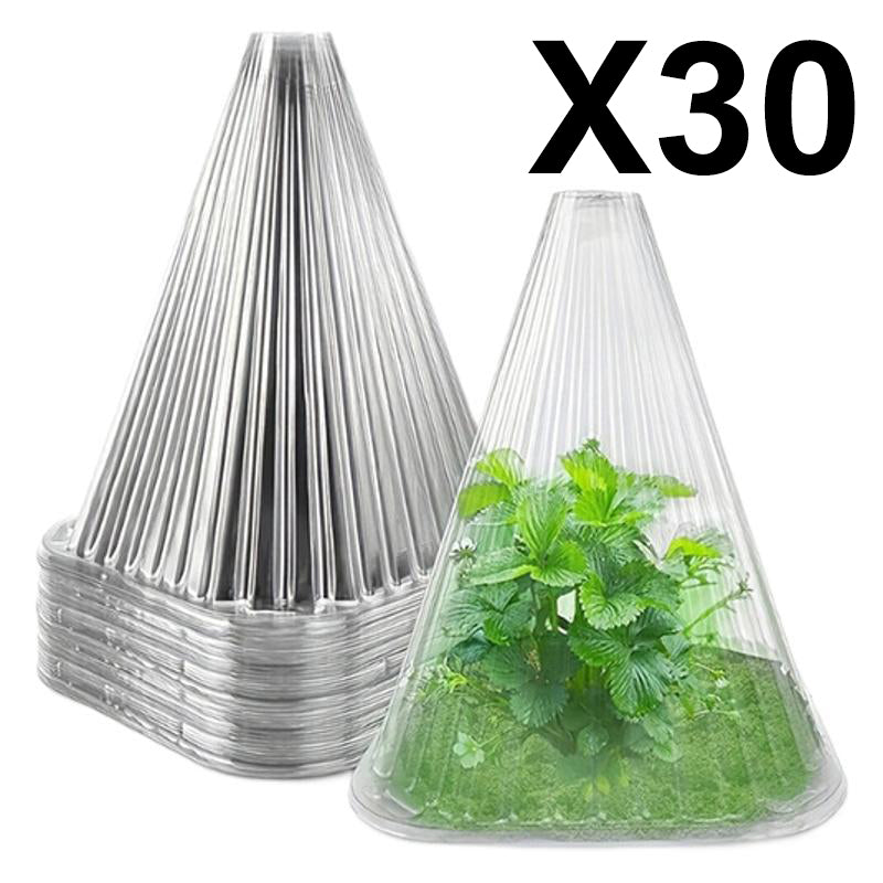 20/30 pz. Campana trasparente da giardino per piante