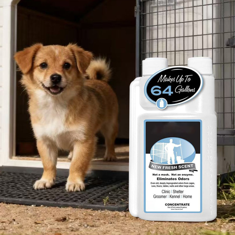 🐶 SCONTO DEL 50%! 🏠 Concentrato per eliminare gli odori degli animali domestici – Neutralizza gli odori, è sicuro per gli animali domestici e rinfrescante 🐱