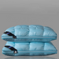🥳VENDITA CALDA 2026🥳💞50.000+ Venduti!🛌️✨ -50%! Cuscino Cervicale Ergonomico Lavabile – Cucitura 3D traspirante e morbida memory foam. Supporta la curva naturale del collo – perfetto per chi dorme su fianco e schiena! 💤🌟