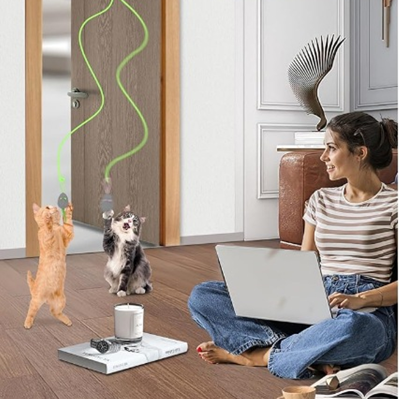 🔥🔥Giocattoli interattivi automatici per gatti da appendere in casa