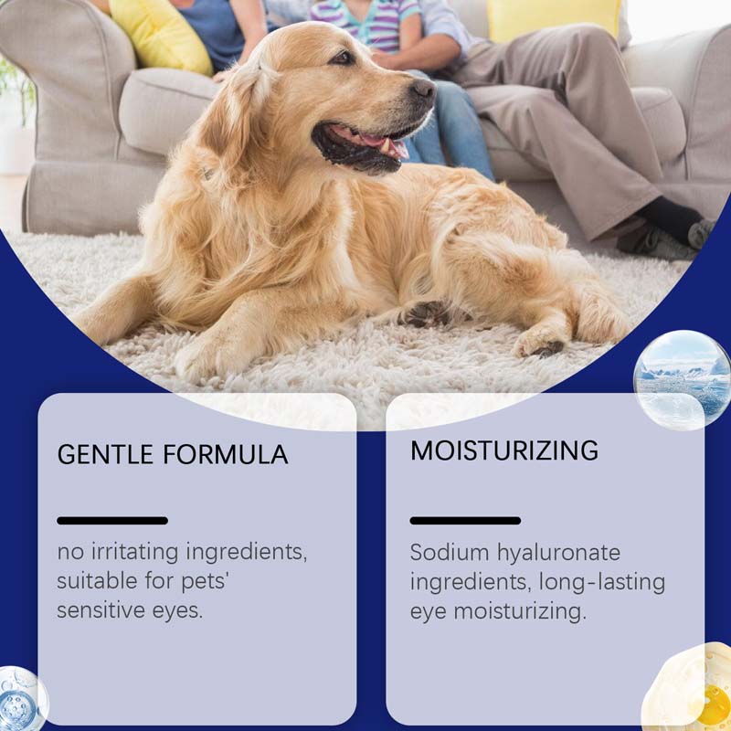 Collirio per cani e gatti