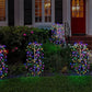 Luci solari da giardino - Decorazione per esterni