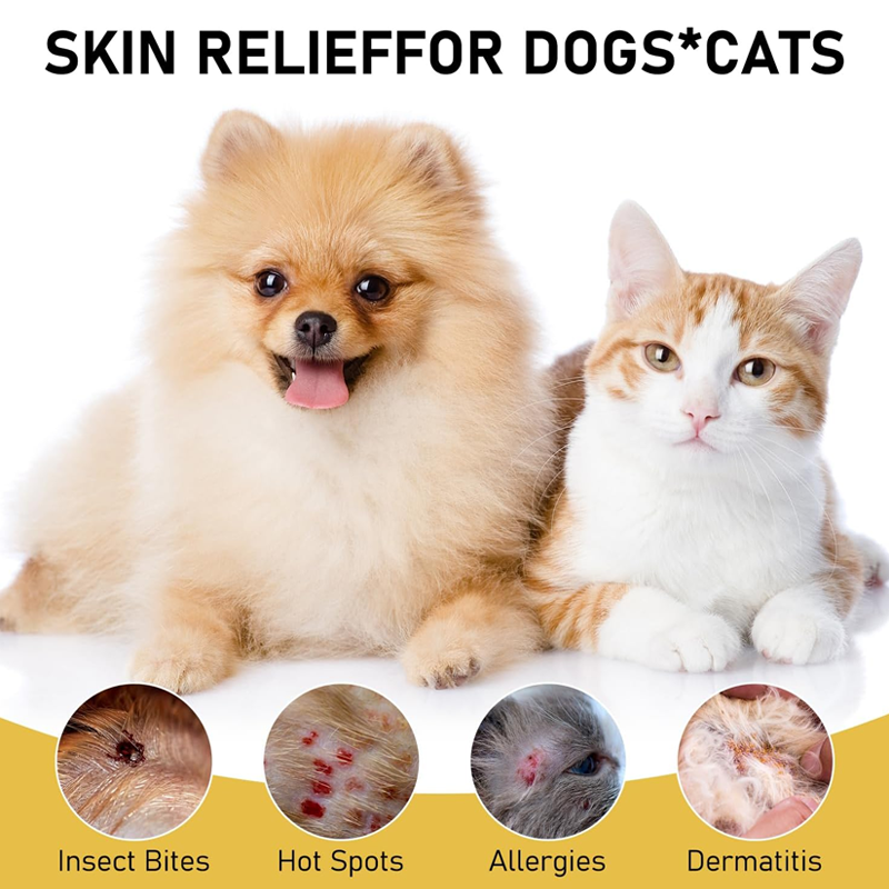 🥳SUPER OFFERTA 2026🥳💞50K+ VENDUTI! 🐶💨 50% DI SCONTO! Spray Lenitivo per Animali – Sollievo rapido dal prurito per punti caldi, allergie e punture di insetti. Formula naturale al tea tree e lavanda – sicura per cani e gatti di tutte le età! 🛡️🐱
