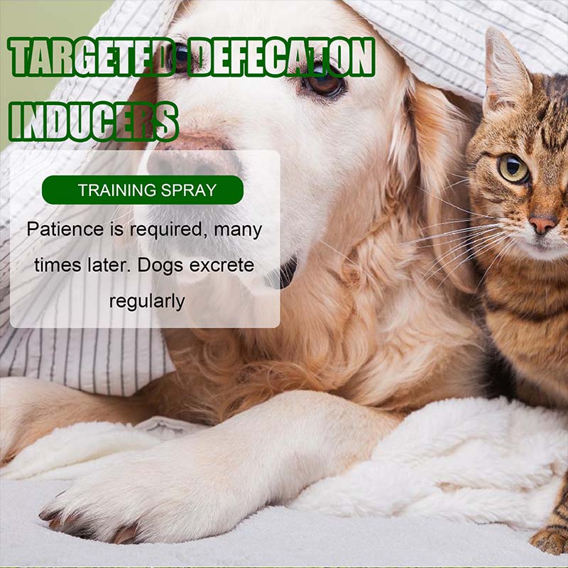 Spray Inducente per la Defecazione e il Posizionamento degli Animali Domestici