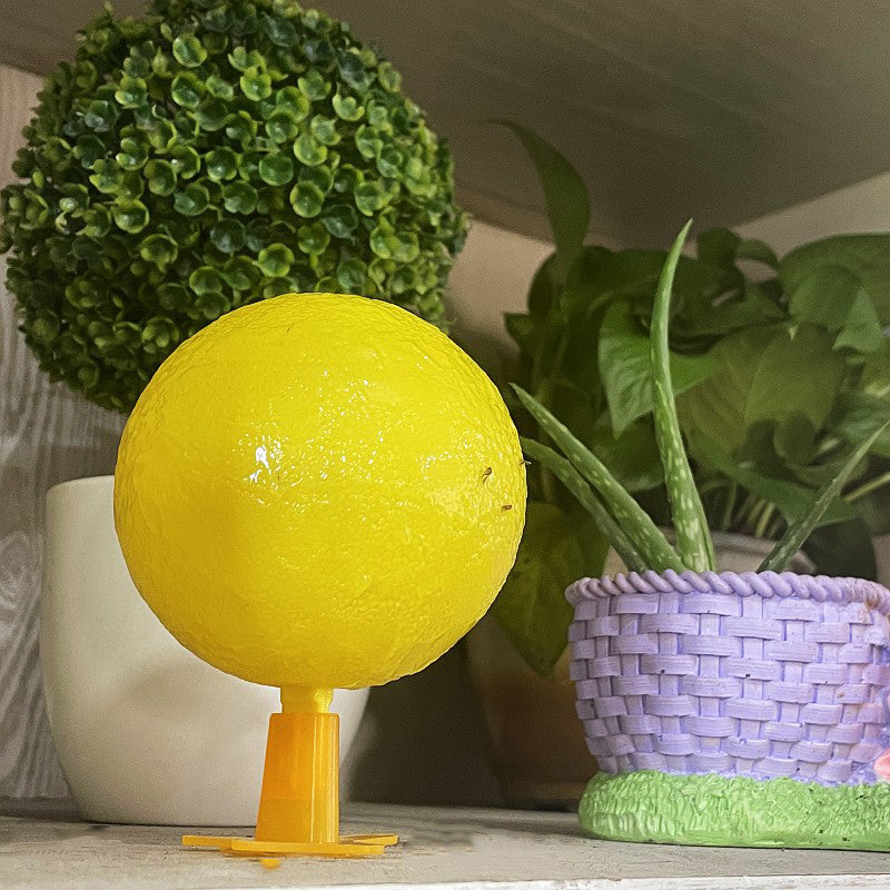 Trappola adesiva per moscerini della frutta con supporto e LED