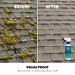 ⚡50K+ VENDUTI!🏠Spray Detergente Multi-Superficie per Muschio e Alghe sul Tetto