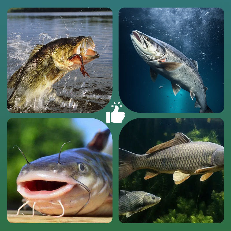 🎣 Amo da pesca con pallina galleggiante ad alta galleggiabilità – Galleggia in modo naturale, abboccate all'istante! 🐟💧 Mantiene l'esca alla profondità perfetta: più abboccate, meno attese. 🔴⚡