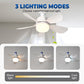 Ventilatore da soffitto 2 in 1 con telecomando e luce a LED