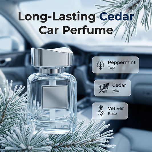 Eliminatore di odori per auto a lunga durata