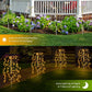 Luci solari da giardino - Decorazione per esterni