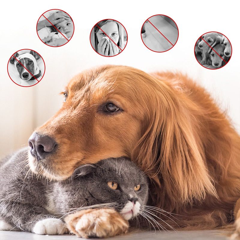 Spray Deodorante Antibatterico per Cani e Gatti