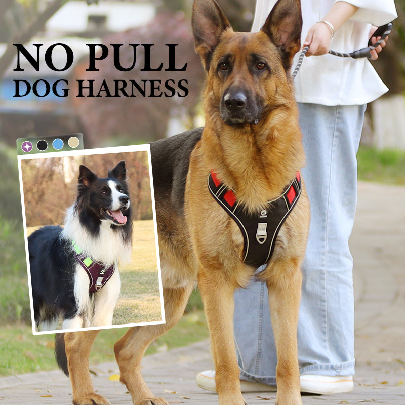 Pettorina per cani "No Pull" con guinzaglio e collare LED