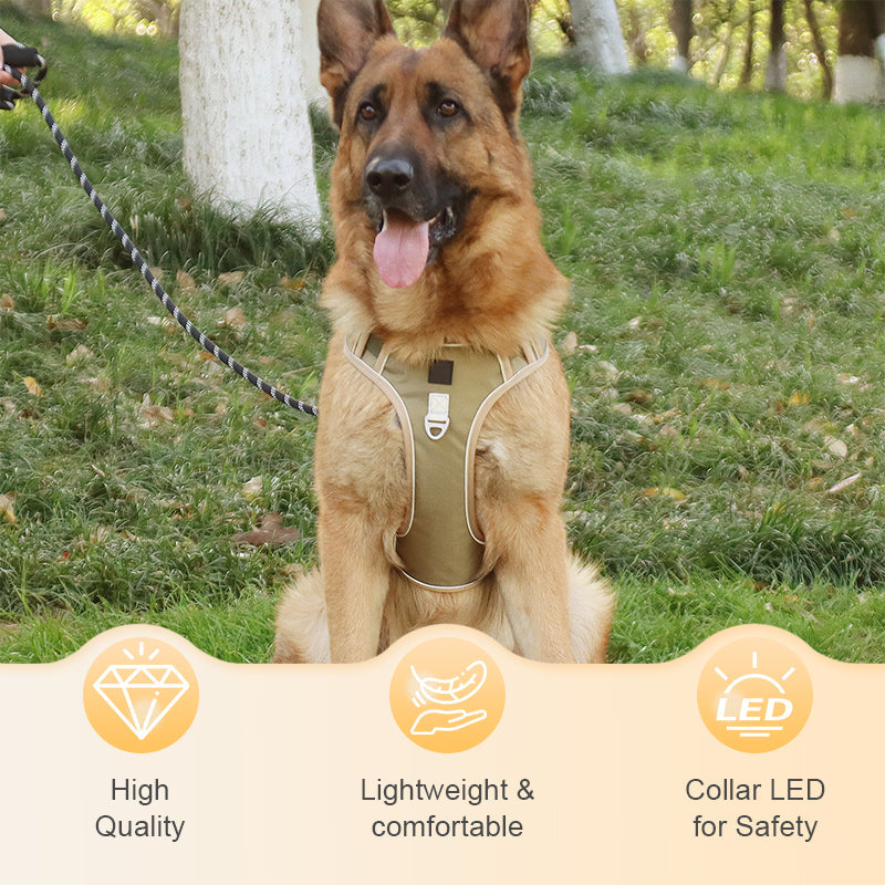 Pettorina per cani "No Pull" con guinzaglio e collare LED