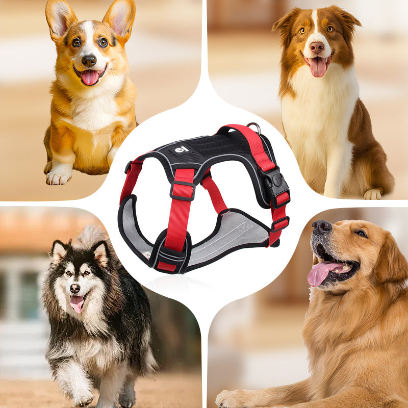 Pettorina per cani "No Pull" con guinzaglio e collare LED