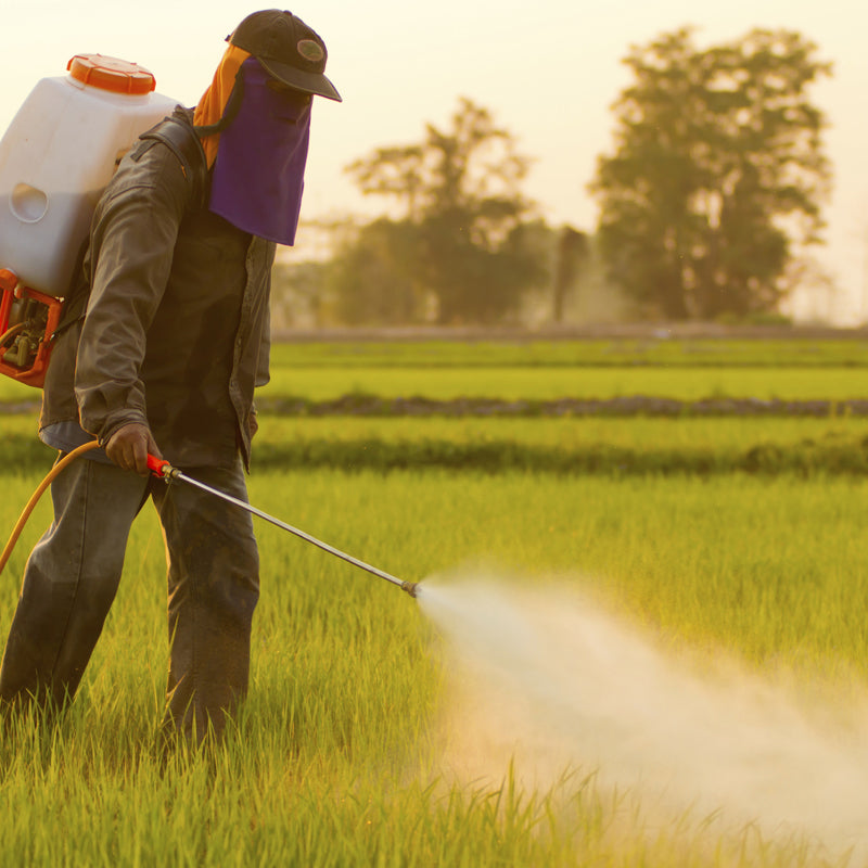 Ugello di nebulizzazione a vortice ad aria ad alta pressione per applicazioni agricole