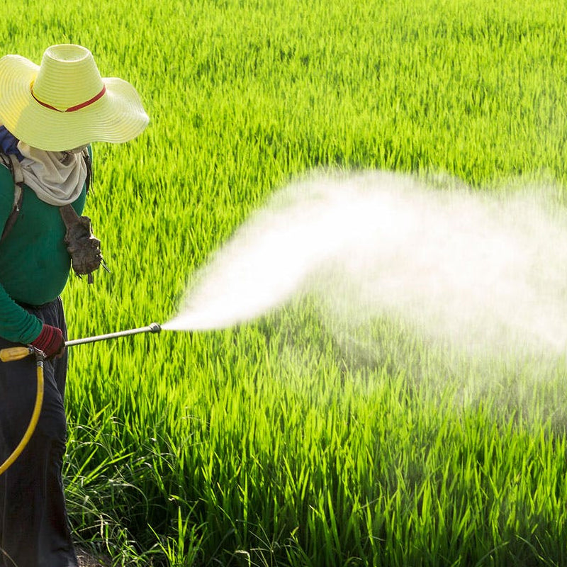 Ugello di nebulizzazione a vortice ad aria ad alta pressione per applicazioni agricole