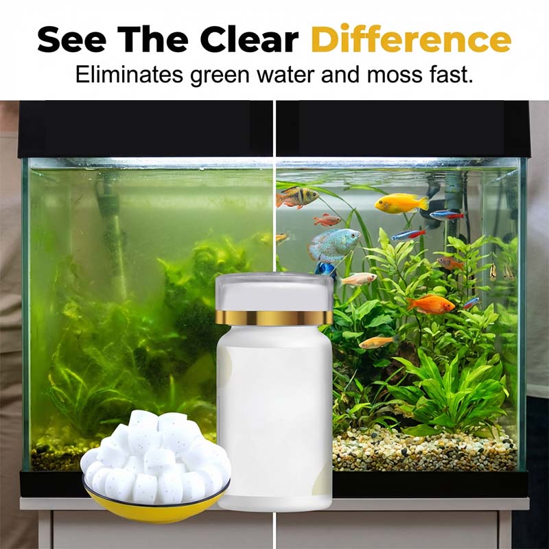🎁⏰ Acquario Acqua Verde & Eliminatore di Muschi