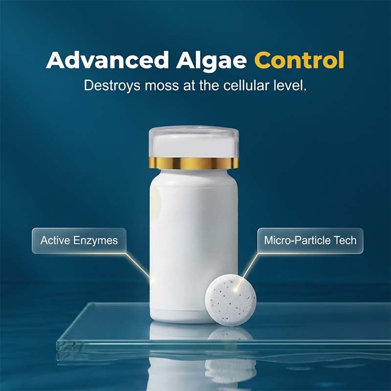 🎁⏰ Acquario Acqua Verde & Eliminatore di Muschi