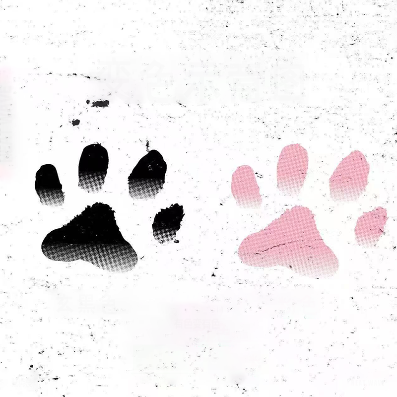 Tatuaggi Temporanei Zampa di Gatto che Cambiano Colore