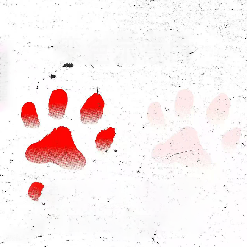 Tatuaggi Temporanei Zampa di Gatto che Cambiano Colore