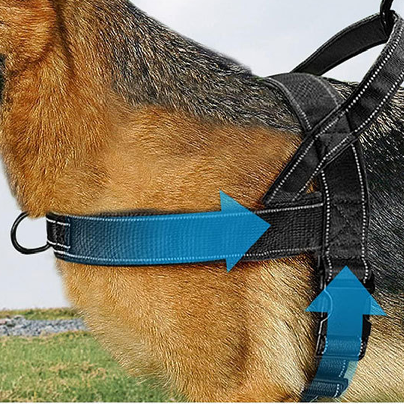 Imbracatura tattica per cani resistente con maniglia