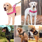 Imbracatura tattica per cani resistente con maniglia