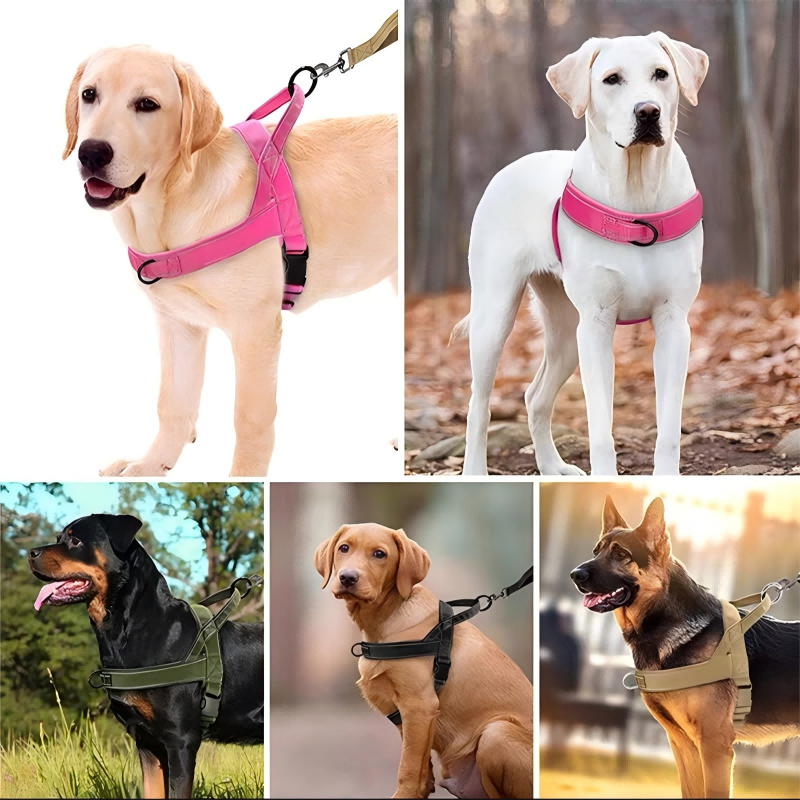 Imbracatura tattica per cani resistente con maniglia