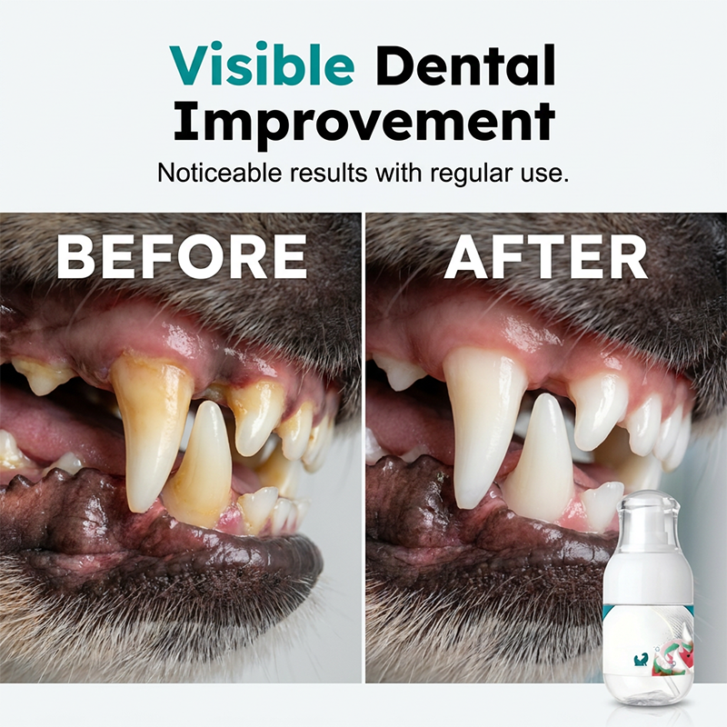 🐾Liquido per l'igiene dentale degli animali senza spazzolino: prenditi cura dei denti del tuo animale più facilmente🦷