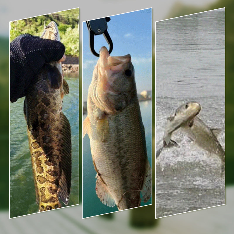 Esca da pesca a forma di rana bionica