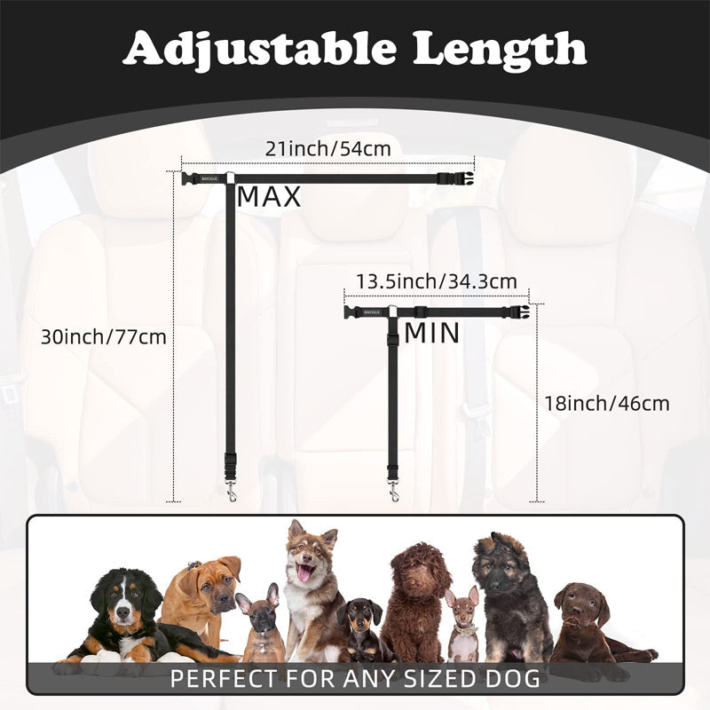 Cintura di sicurezza 2 in 1 per cani e guinzaglio da passeggio