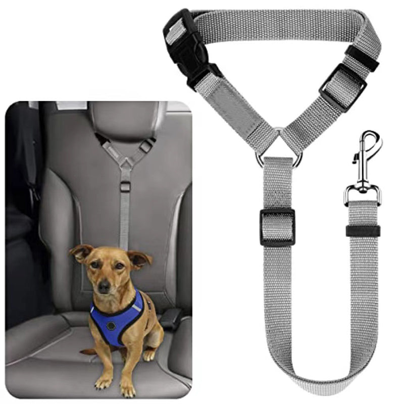 Cintura di sicurezza 2 in 1 per cani e guinzaglio da passeggio