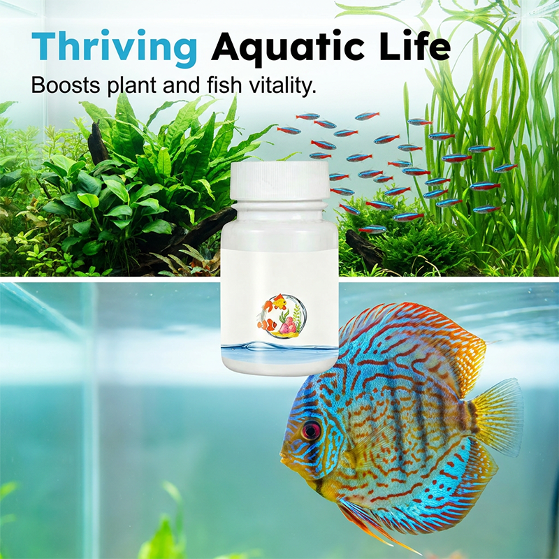 ✨Pastiglie decloranti per acquario🐟Confezione da 50g, rimuovono rapidamente il cloro dall’acqua del serbatoio. Proteggono le branchie dei pesci, riducono lo stress, facili da dosare.
