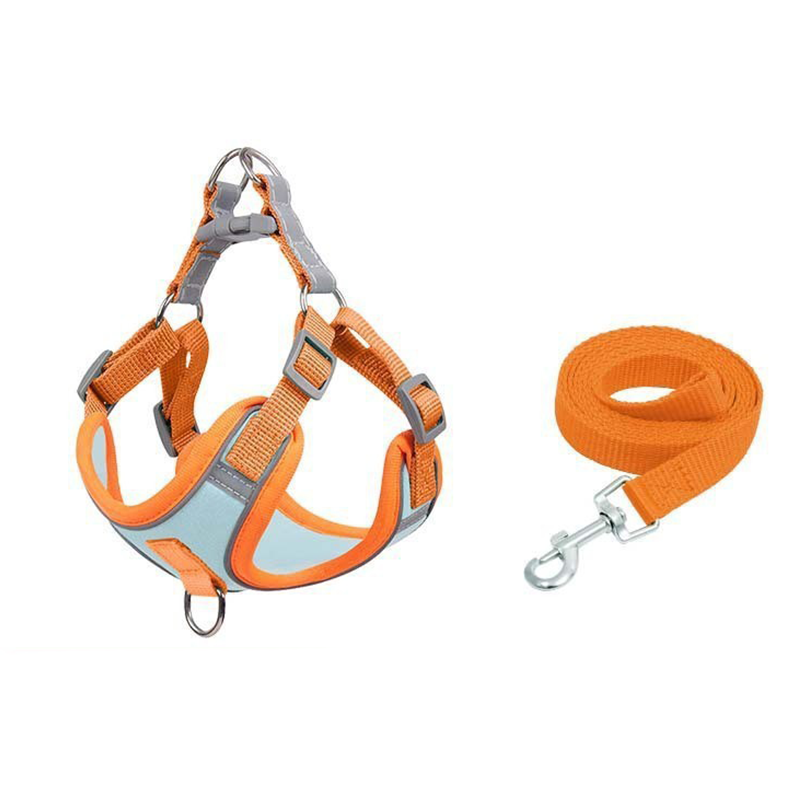 Pettorina per Cani Regolabile e Imbottita con Guinzaglio Incluso
