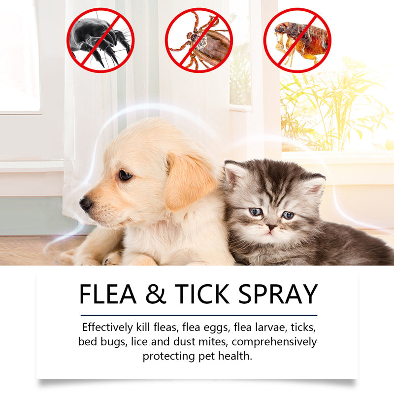 🍃Spray naturale contro pulci e zecche per cani e gatti🐾 Proteggi il tuo amato animale domestico dai parassiti